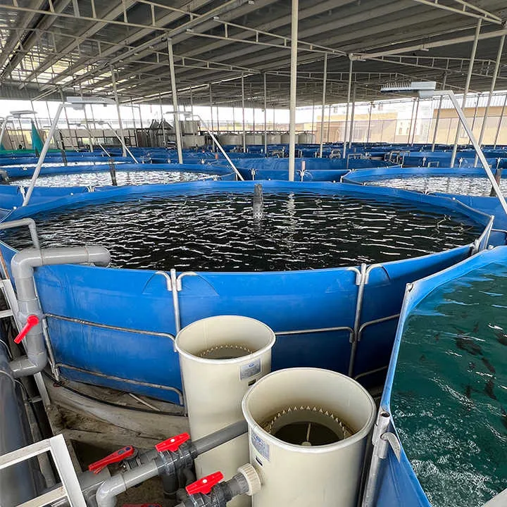 Produto: criacao de peixe em tanque