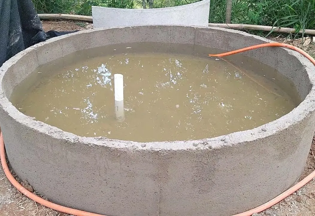 Categoria tanque de concreto para criação de peixes de Piscicultura