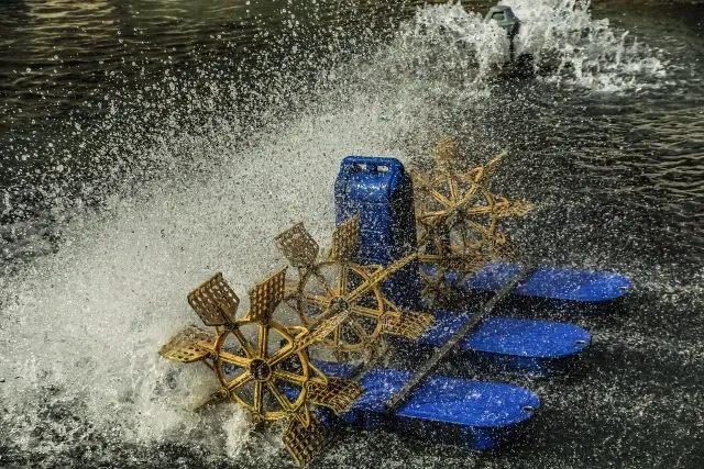 Produto: termometro para aquacultura